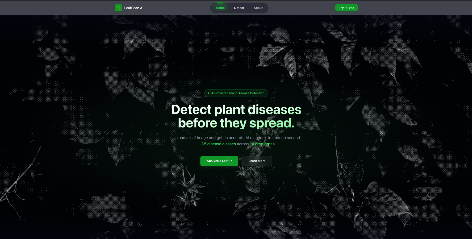 Leaf Inference Engine — AI systems engineering project by Suhaas Nadukooru
